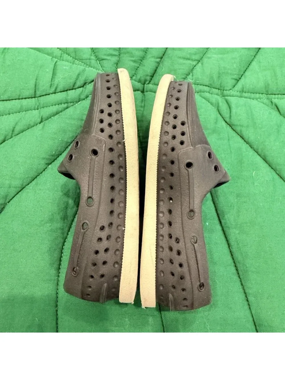 Native shoes howard